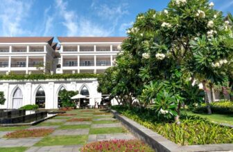 What Are the Best Trees for Small Outdoor Spaces?