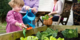 How to Transition Your Garden Between Seasons